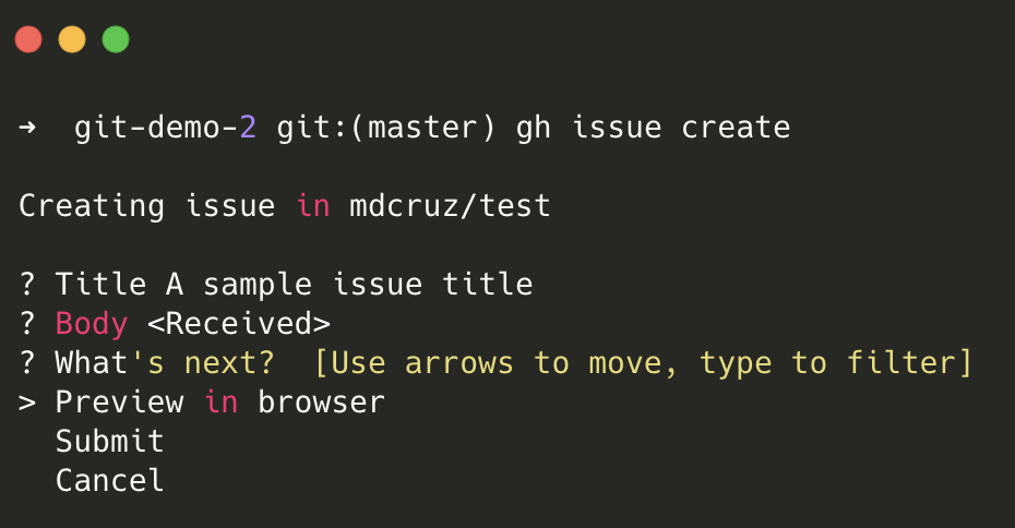 Output of running gh issue create command